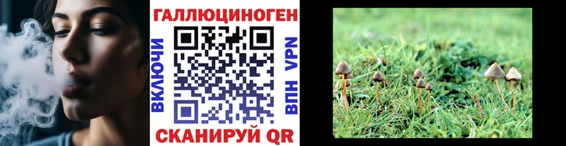 Галлюциногенные грибы Cubensis Руза