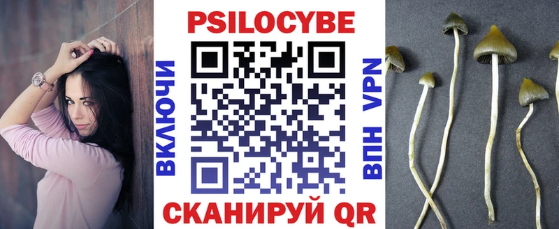 KRAKEN вход  цена   Руза  Псилоцибиновые грибы Psilocybe 